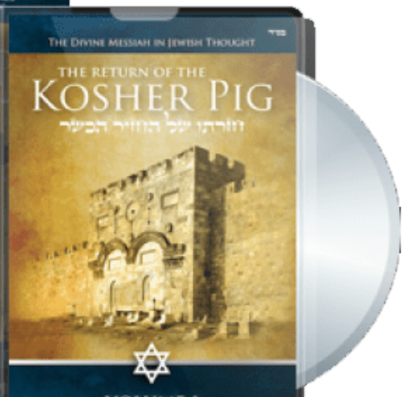 Return of the Kosher Pig by Tzahi Shapira DVD 10 hours Yeshiva Teachin