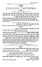 Load image into Gallery viewer, Budoff Siddur - 5th Edition NOW AVAILABLE!