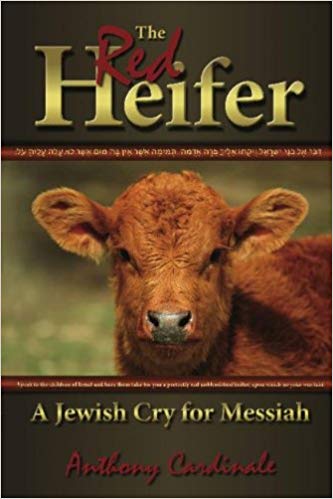The Red Heifer: A Jewish Cry for Messiah by Anthony Cardinale