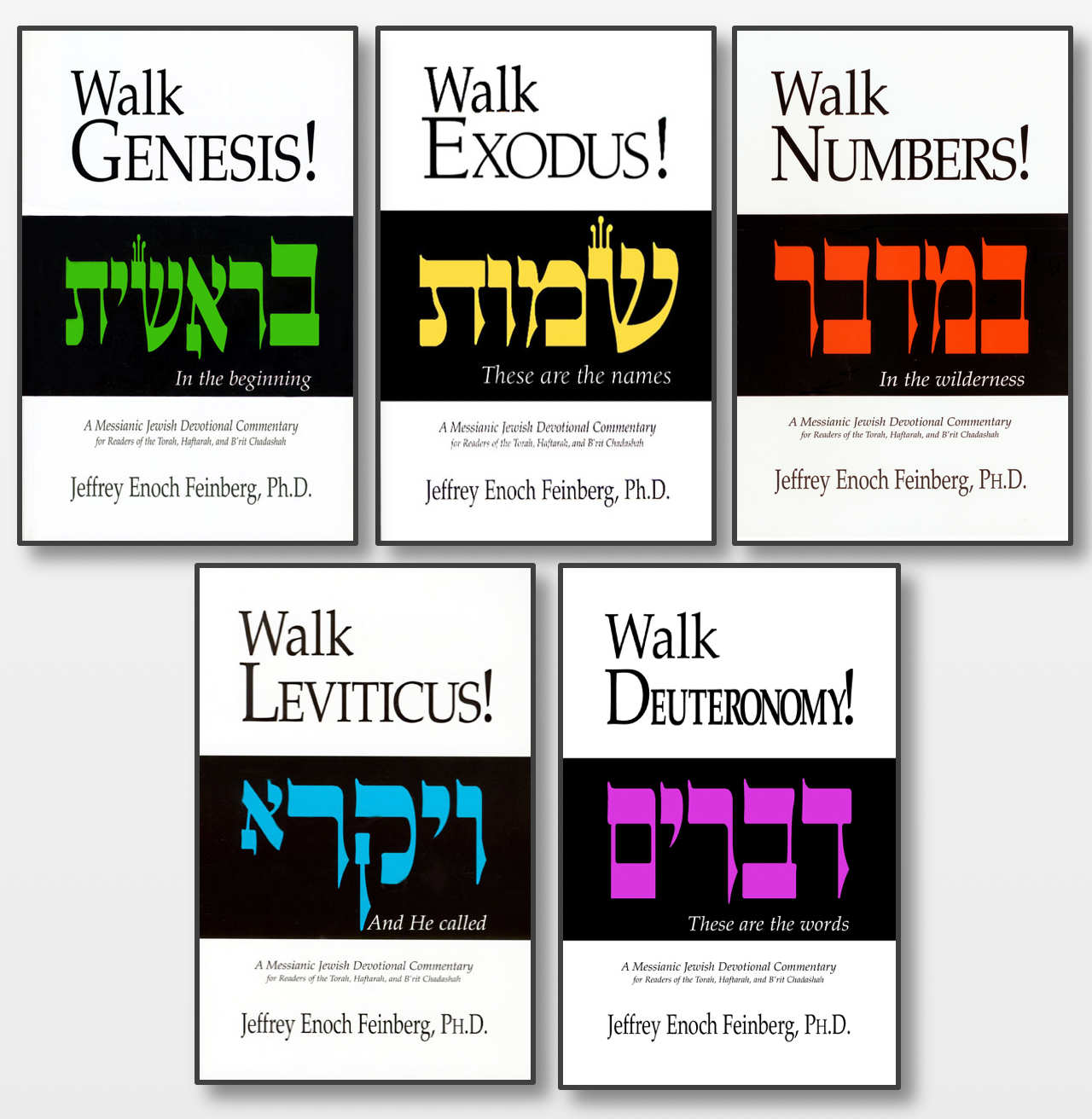 The Walk Set 5 Volumes