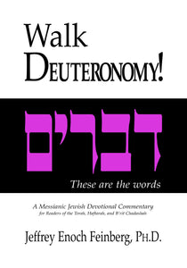 Walk Numbers!  A Messianic Jewish Devotional Commentary by Jeffrey Enoch Feinberg, PhD