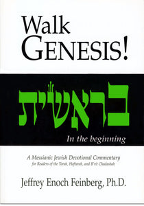 Walk Numbers!  A Messianic Jewish Devotional Commentary by Jeffrey Enoch Feinberg, PhD